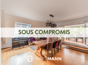 Superbe appartement en duplex – Wacken