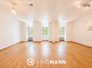 Appartement 2/3P en dernier étage – Krutenau