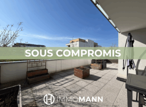Bel appartement 3 pièces avec superbe terrasse !