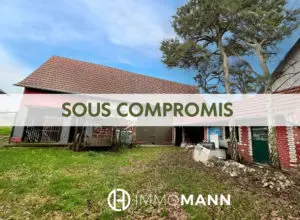 Terrain à vendre à 10 minutes de Haguenau