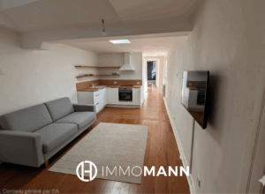 Lumineux Duplex 3P – Hypercentre