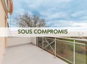 Magnifique appartement duplex avec terrasse et garage