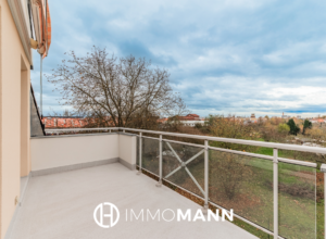 Magnifique appartement duplex avec terrasse et garage