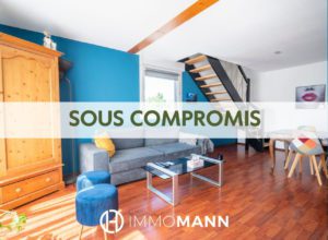 Magnifique 4P Duplex en attique