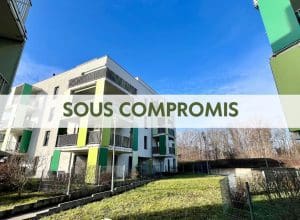 Beau 2 pièces avec terrasse de 44m2 et parking sous terrain