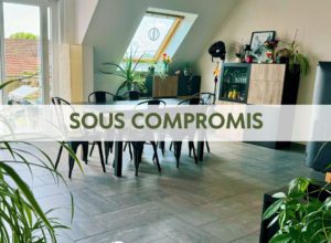 Superbe Duplex 4/5 Pièces à Benfeld – terrasse et garages