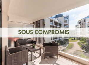 Appartement 3 pièces avec deux balcons et garage – Bell’Ill