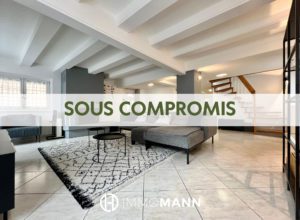 Spacieuse maison familiale à 10 minutes de Strasbourg