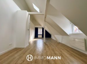 Loft rénové au dernier étage charme et luminosité au rende